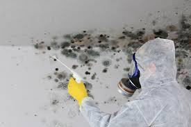 Best HVAC Mold Inspection and Cleaning  in Wtell, LA